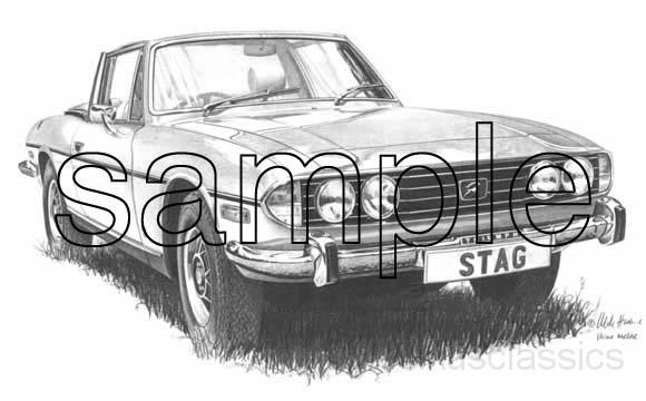 Triumph Stag.jpg